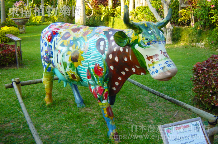 東南植物樂園的彩繪牛體驗