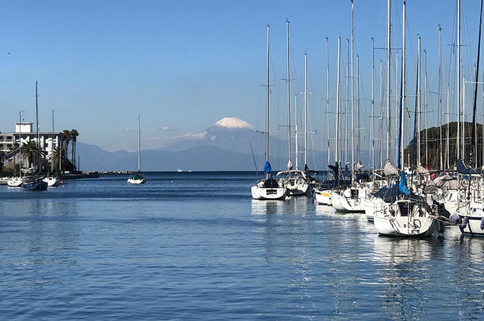 遊艇碼頭富士