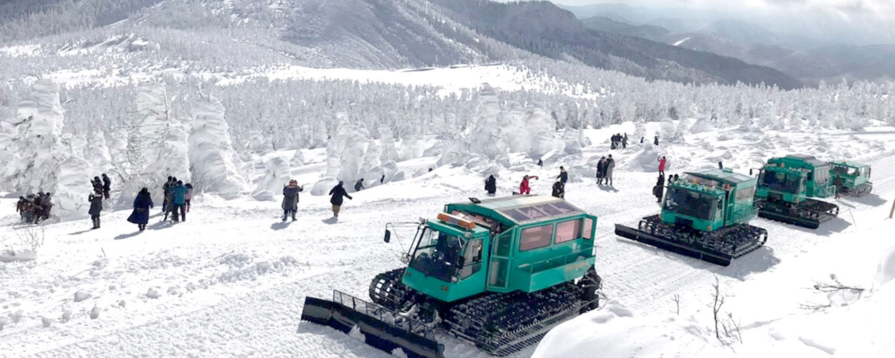 藏王樹冰雪上車遊覽