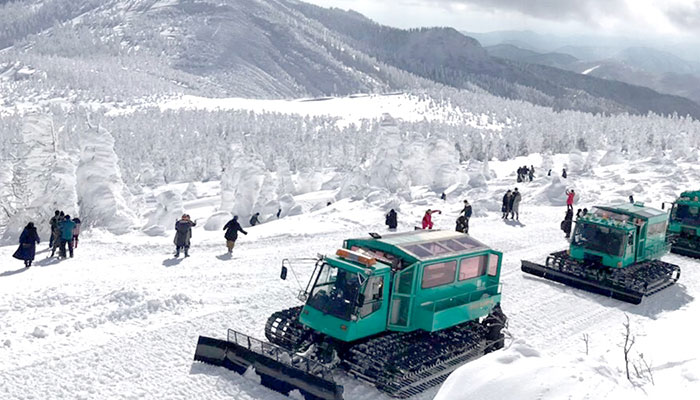 藏王樹冰雪上車遊覽