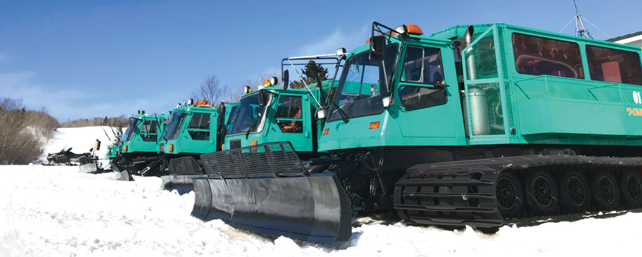 藏王樹冰雪上車