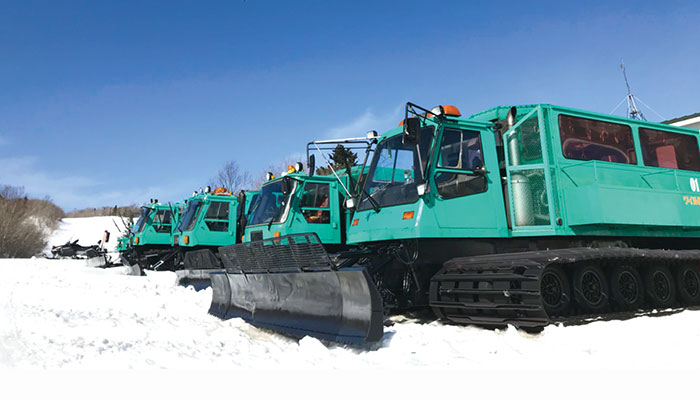 藏王樹冰雪上車