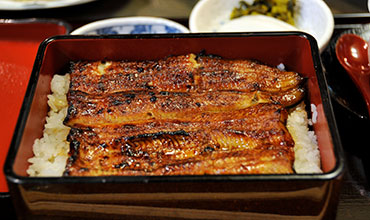 日本鰻魚料理