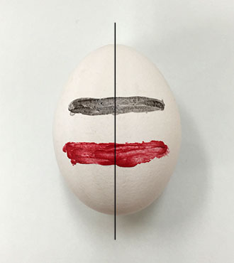 1.在蛋壳上涂上口红和眼线。