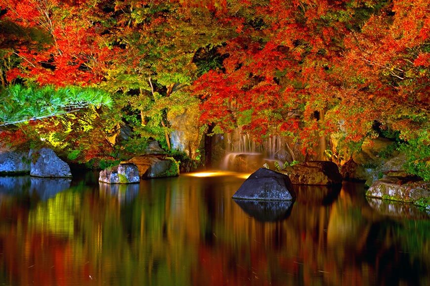 姬路城西御屋敷跡庭園 好古園