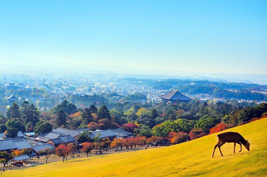 奈良公園