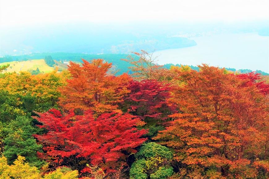 箱根駒岳索道からの景色
