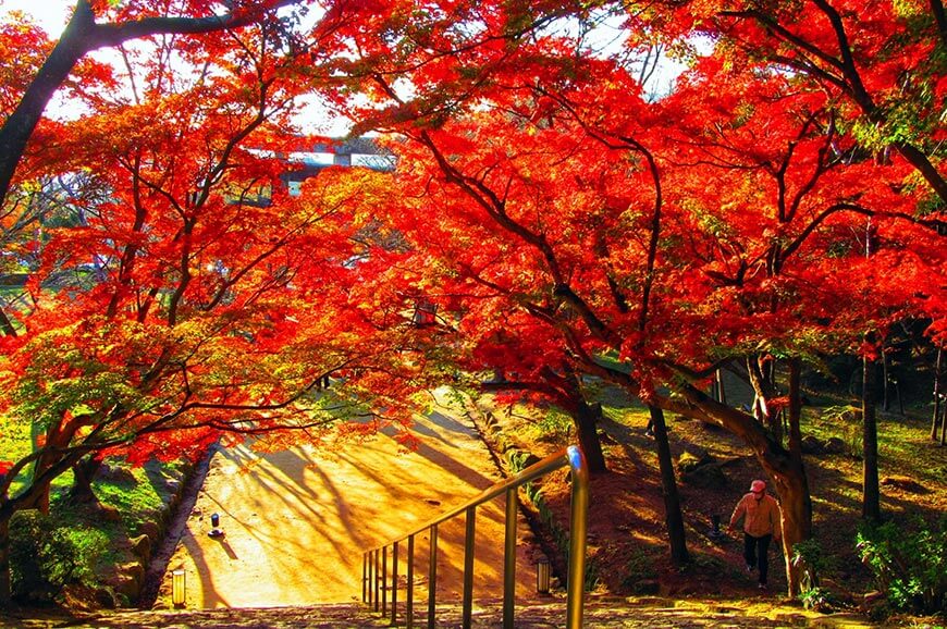 寶滿宮竈門神社
