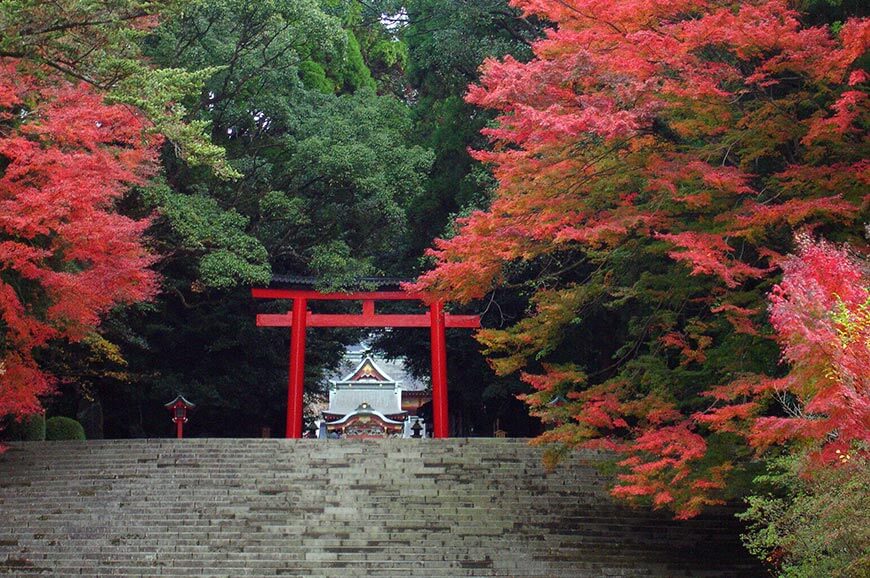 霧島神宮