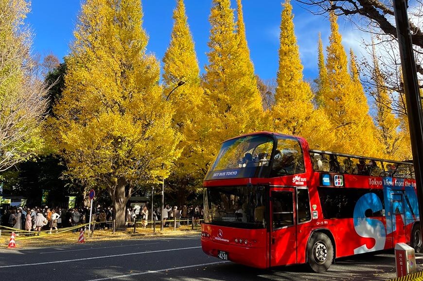 神宮外苑銀杏樹林蔭道