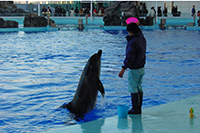 名古屋港水族館