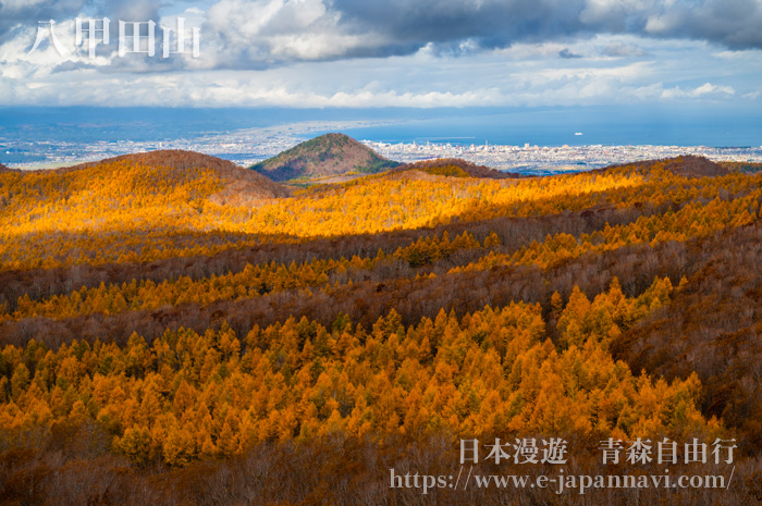 八甲田山秋季紅葉風景