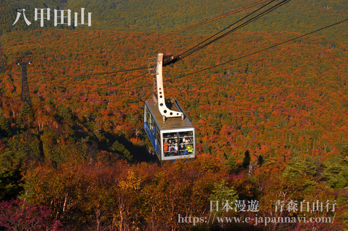 八甲田山秋季紅葉季節的纜車