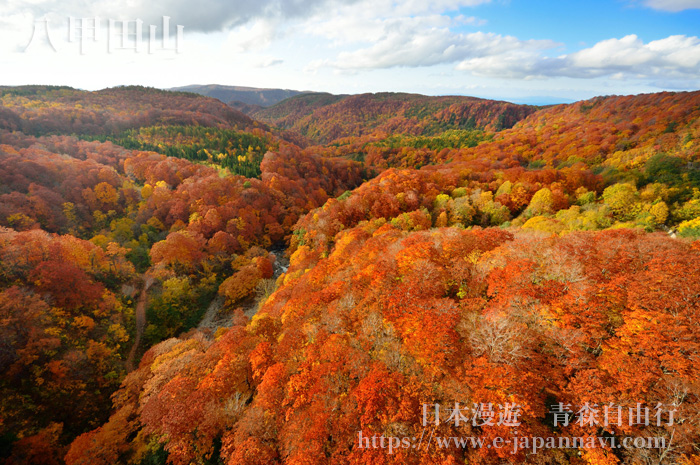 八甲田山紅葉風景