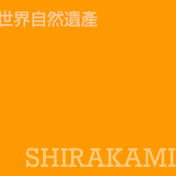 白神山地 shirakami
