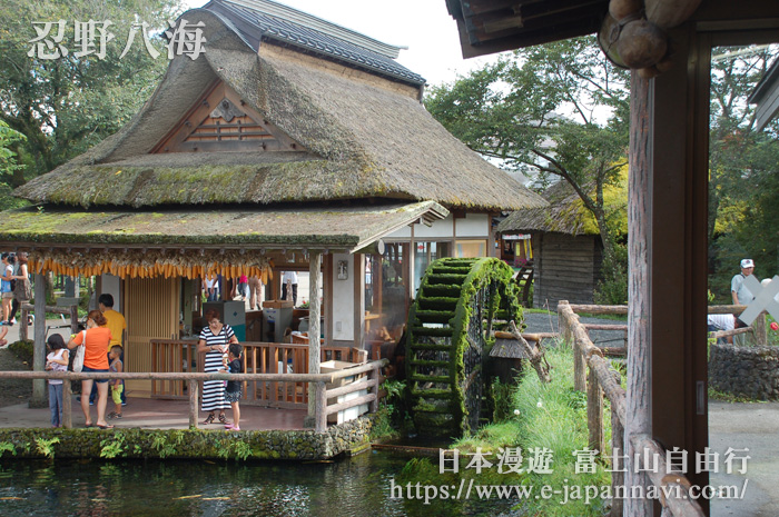 忍野八海的水車磨坊美景