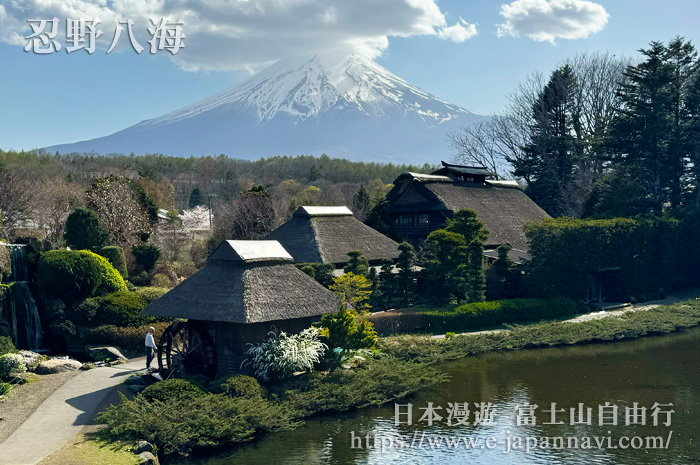 由忍野八海展望台眺望富士山