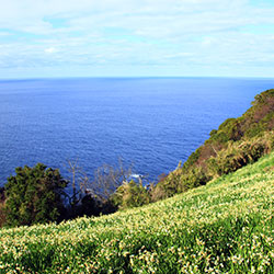 越前海岸