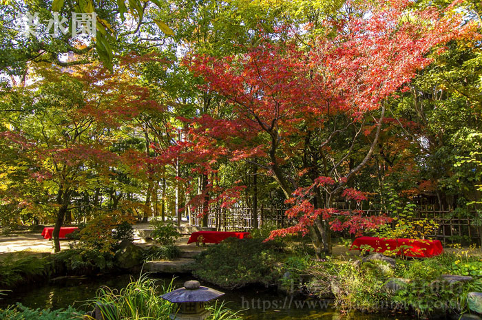 楽水園秋季紅葉