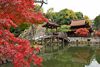 虎溪山永保寺