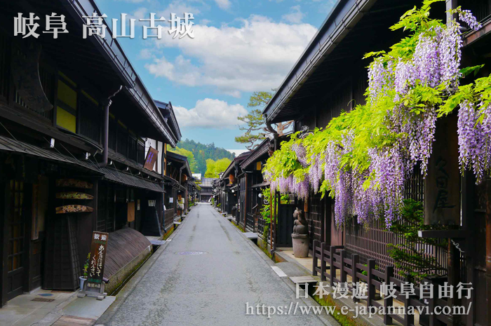 高山紫藤花街