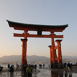 嚴島神社鳥居