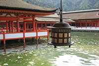 嚴島神社鳥居