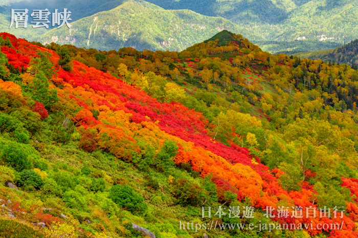 五顏六色的赤岳銀泉台是日本最早迎來紅葉的景區