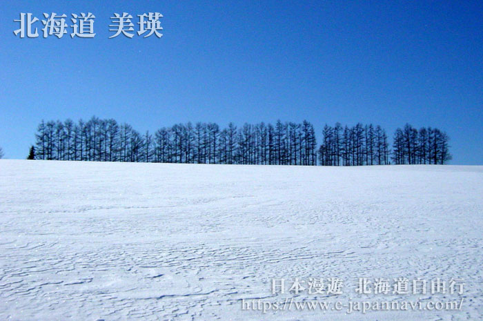美瑛柔和七星之丘