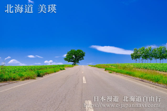 美瑛柔和七星之丘