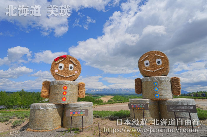 美瑛四季彩之丘草垛人