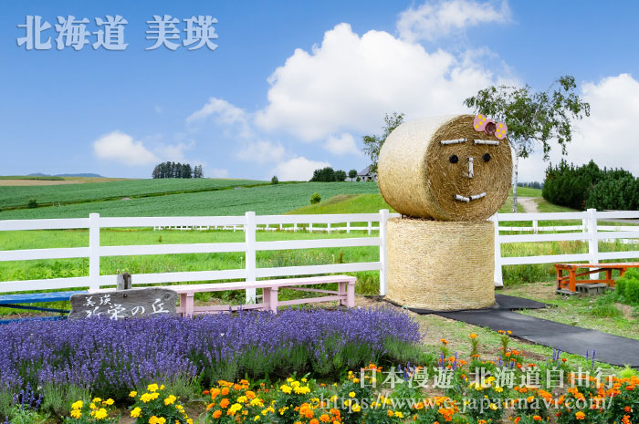 夏季的美瑛新榮之丘