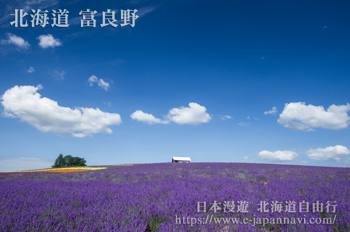 富良野KANNO農場