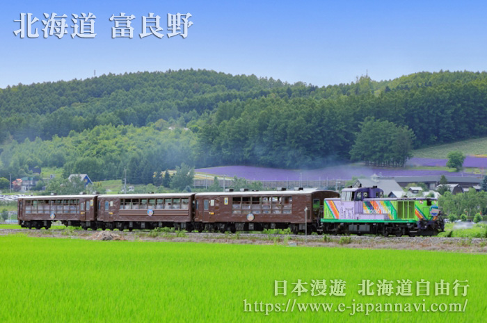 富良野・美瑛慢車號觀光小火車
