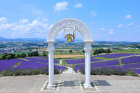 富良野日之出公園