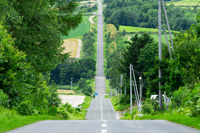 富良野過山車之路