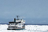 觀賞流冰破冰船 極光號