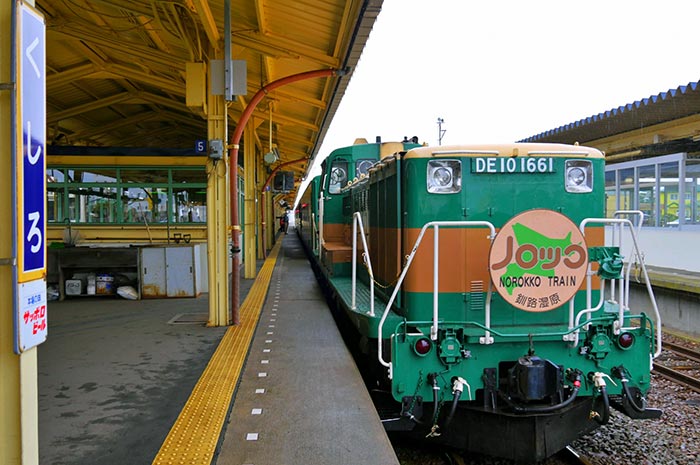行駛在遼闊釧路濕原觀光列車　釧路濕原慢車號