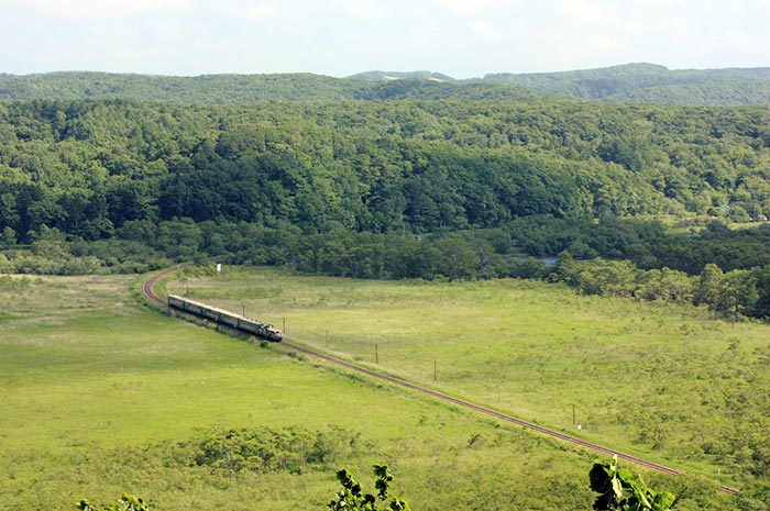釧路濕原號列車行駛在釧路濕原