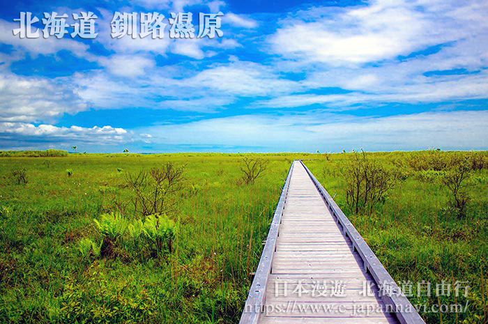 在極具開放感的濕原溫根内木道散步