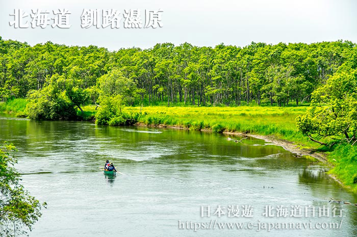 釧路川獨木舟是受遊客歡迎的旅遊項目