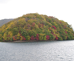 洞爺湖溫泉