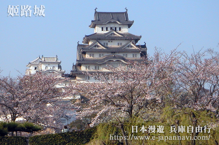 姬路城正面櫻花時節美景