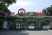 神戶王子動物園