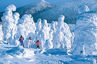 日本東北宮城藏王樹冰