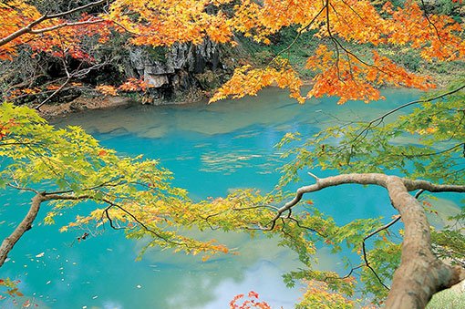 日本 岩手