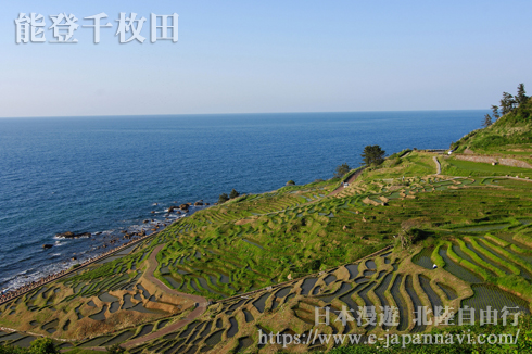 能登白米千枚田