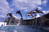 能登島水族館