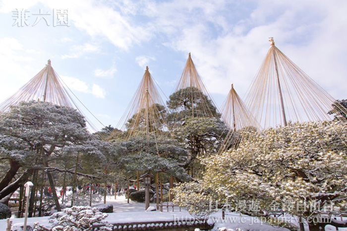 兼六園唐崎松雪吊