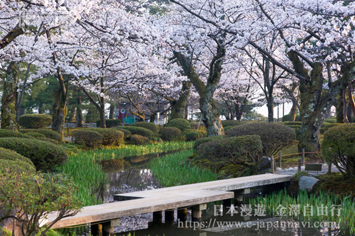 兼六園春天景色